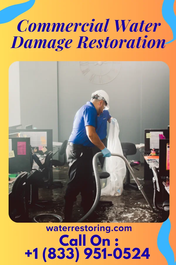 Commercial Water Damage Restoration in Crestone, CO